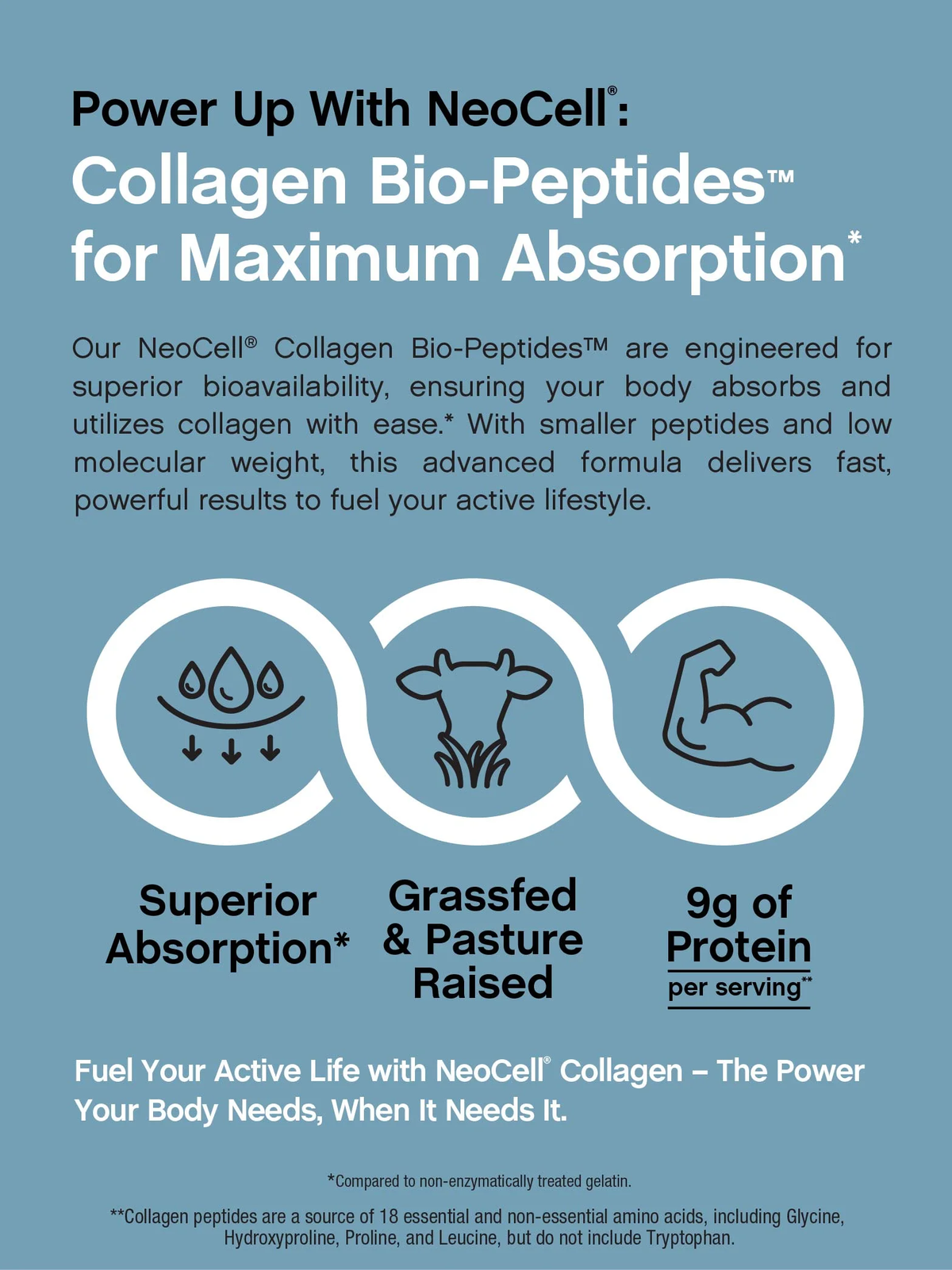 Collagen Bio-Peptides Powder | 10Oz | Grassfed Protein Supplement | by