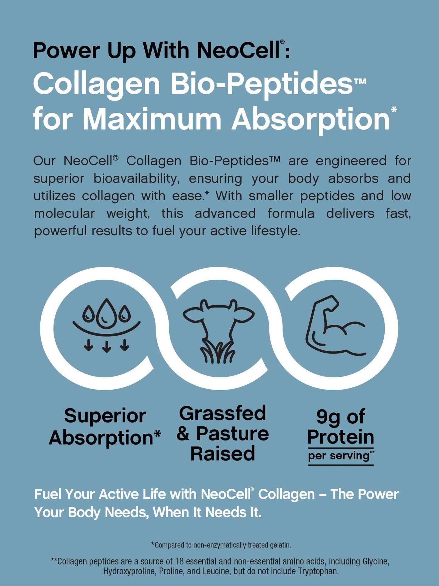 Collagen Bio-Peptides Powder | 10Oz | Grassfed Protein Supplement | by